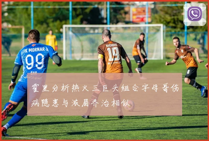 霍里分析热火三巨头组合字母哥伤病隐患与浓眉乔治相似