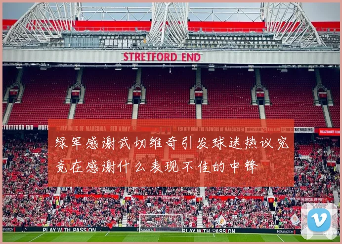 绿军感谢武切维奇引发球迷热议究竟在感谢什么表现不佳的中锋